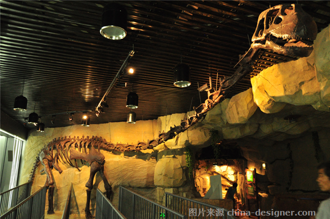 大连星海古生物化石博-王姝的设计师家园:王姝