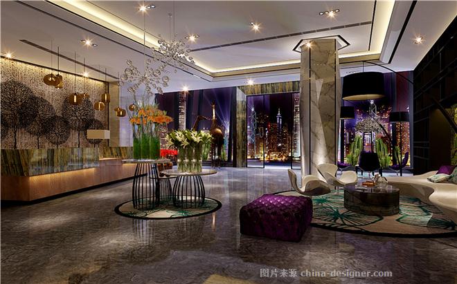 美豪房屋精品-美国DH设计尺寸的设计师机构设计的标准酒店图图片